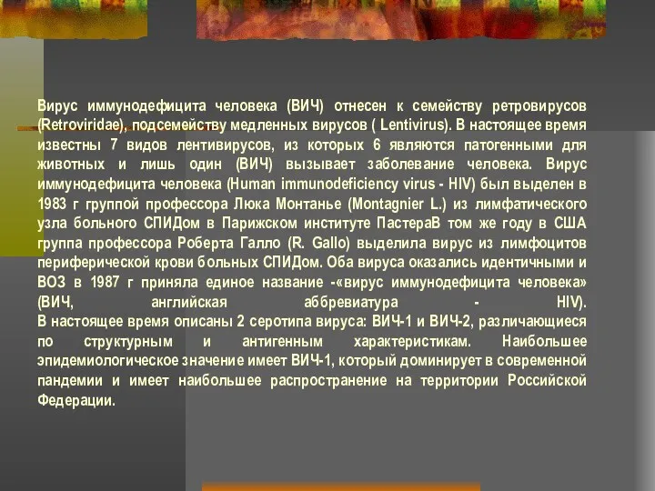 Вирус иммунодефицита человека (ВИЧ) отнесен к семейству ретровирусов (Retroviridae), подсемейству