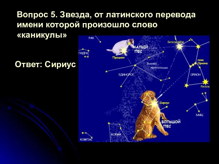 Вопрос 5. Звезда, от латинского перевода имени которой произошло слово «каникулы» Ответ: Сириус