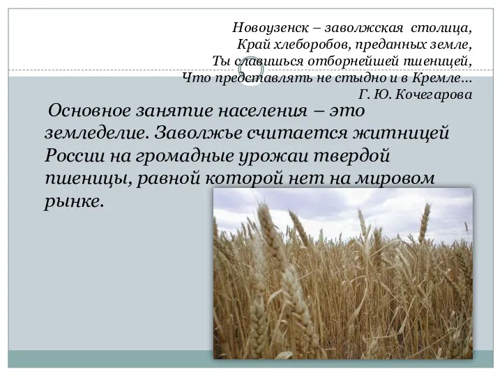 Новоузенск – заволжская столица, Край хлеборобов, преданных земле, Ты славишься отборнейшей пшеницей, Что