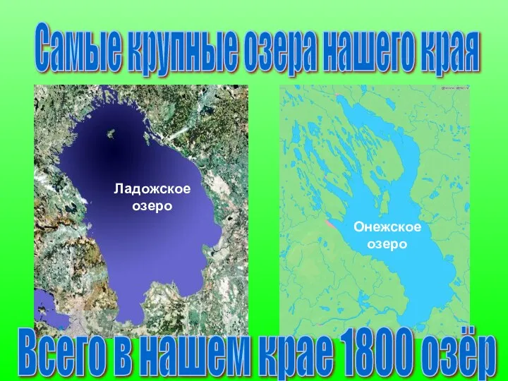 Самые крупные озера нашего края Ладожское озеро Онежское озеро Всего в нашем крае 1800 озёр