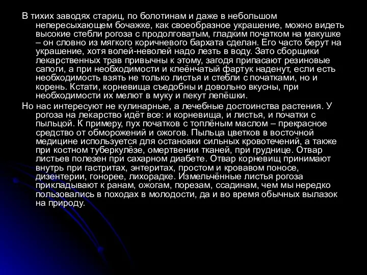 В тихих заводях стариц, по болотинам и даже в небольшом непересыхающем бочажке, как