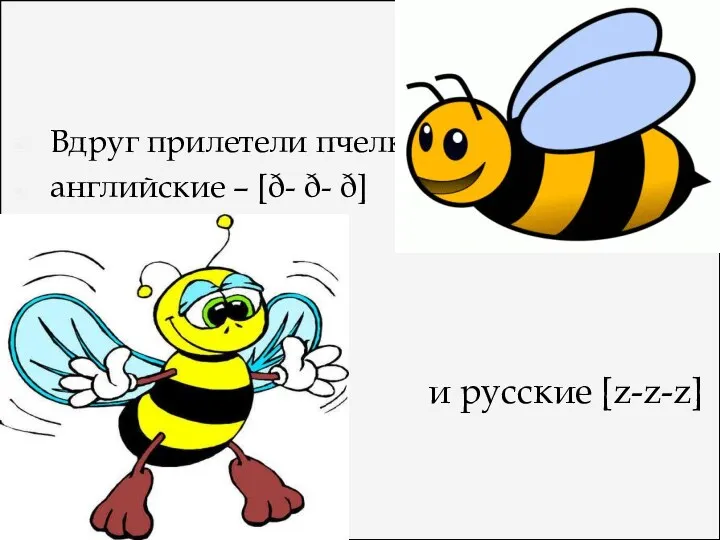 Вдруг прилетели пчелки, английские – [ð- ð- ð] и русские [z-z-z]