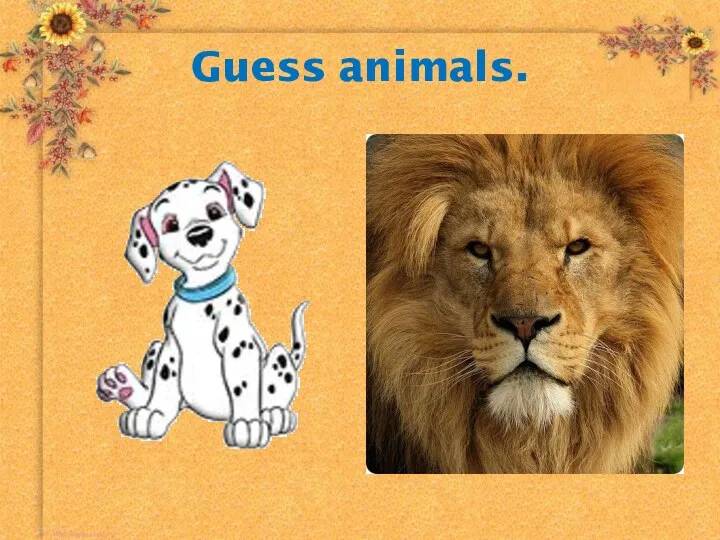 Guess animals.