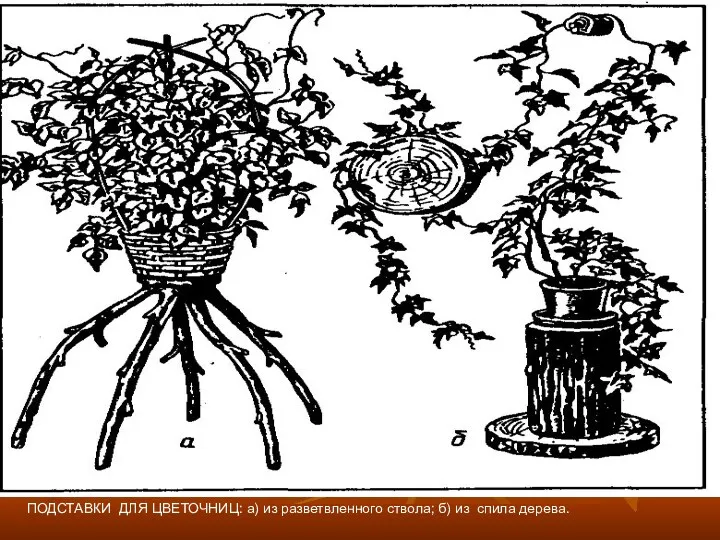 ПОДСТАВКИ ДЛЯ ЦВЕТОЧНИЦ: а) из разветвленного ствола; б) из спила дерева.