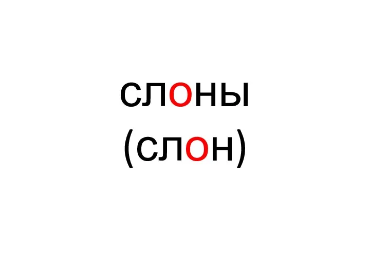 слоны (слон)