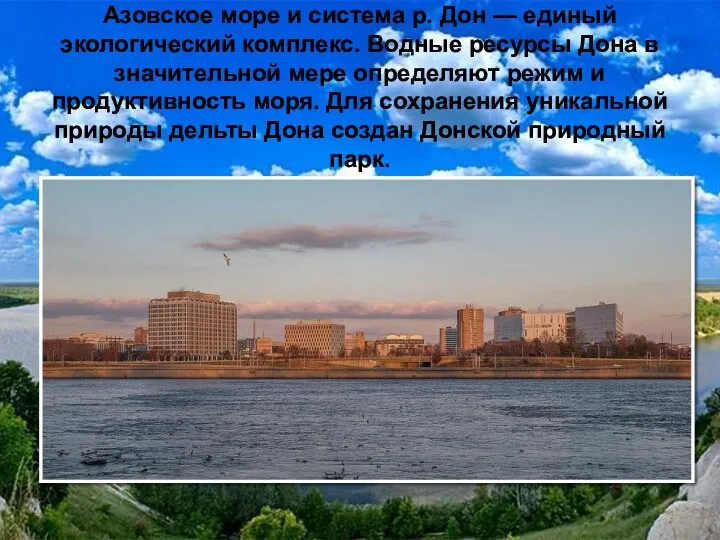 Азовское море и система р. Дон — единый экологический комплекс. Водные ресурсы Дона