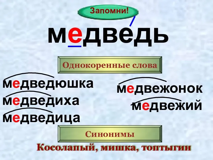 Запомни! медведь Однокоренные слова медведюшка медведиха медведица медвежонок медвежий Синонимы Косолапый, мишка, топтыгин