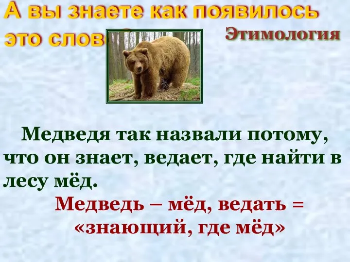 А вы знаете как появилось это слово? Этимология Медведя так