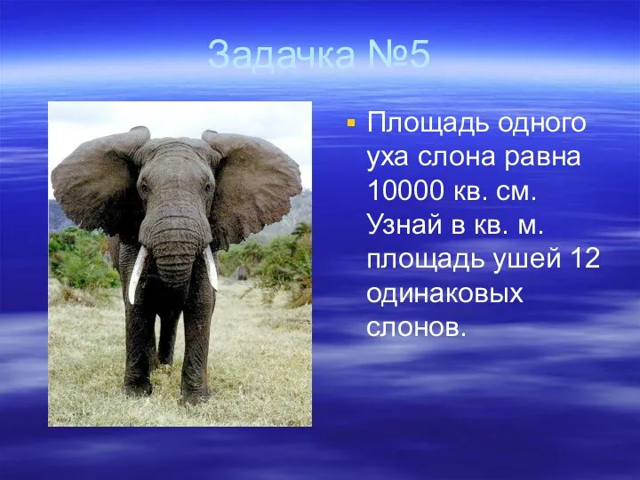 Задачка №5 Площадь одного уха слона равна 10000 кв. см.