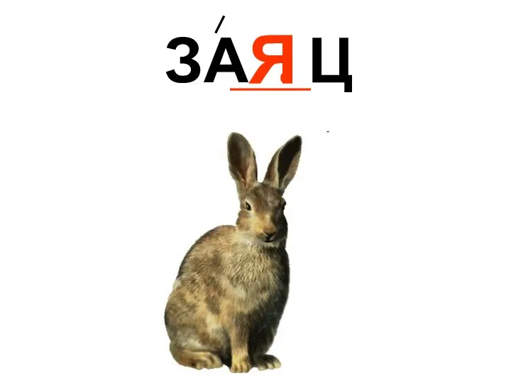 ЗА . Ц Я