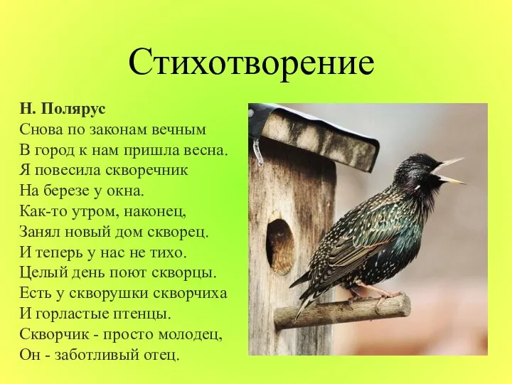 Стихотворение Н. Полярус Снова по законам вечным В город к