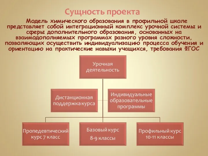 Сущность проекта Модель химического образования в профильной школе представляет собой