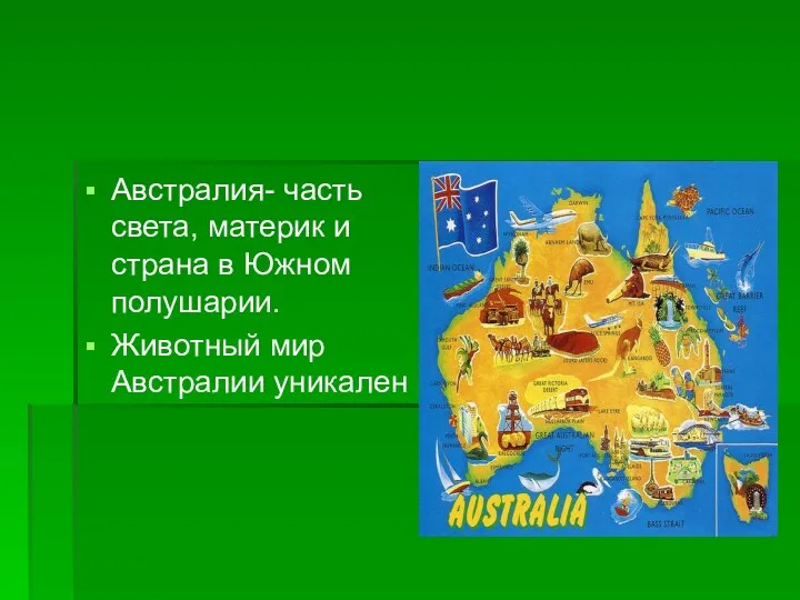 Австралия- часть света, материк и страна в Южном полушарии. Животный мир Австралии уникален