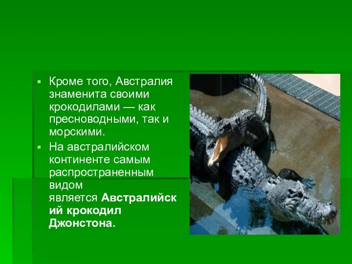 Кроме того, Австралия знаменита своими крокодилами — как пресноводными, так и морскими. На