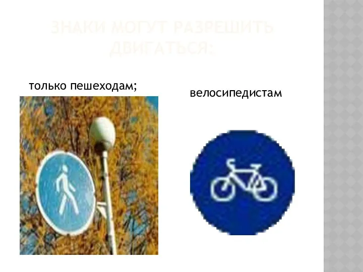 Знаки могут разрешить двигаться: велосипедистам только пешеходам;