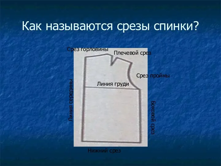 Как называются срезы спинки? Срез горловины Плечевой срез Срез проймы