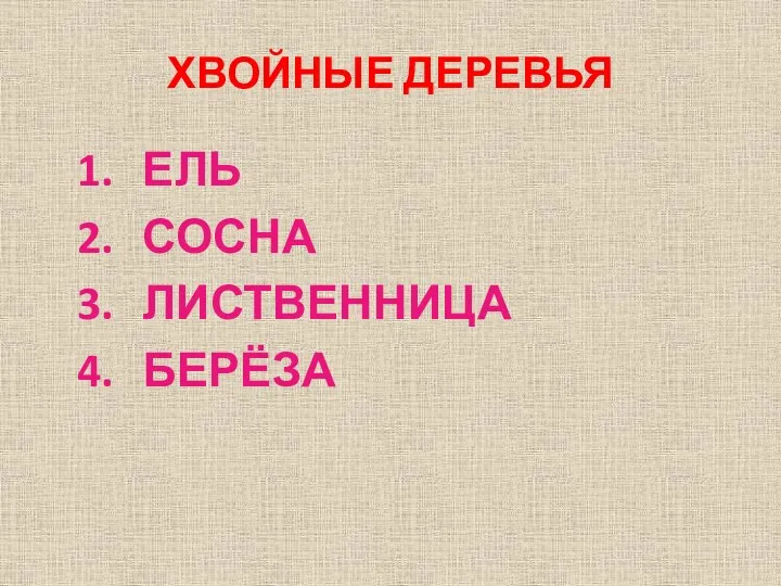 ХВОЙНЫЕ ДЕРЕВЬЯ ЕЛЬ СОСНА ЛИСТВЕННИЦА БЕРЁЗА