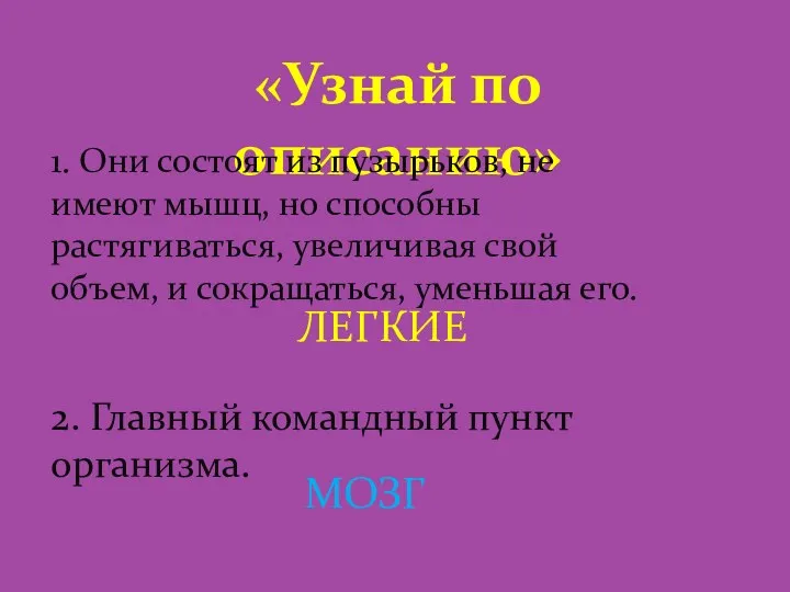 «Узнай по описанию» 1. Они состоят из пузырьков, не имеют