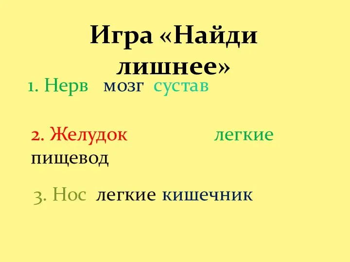 Игра «Найди лишнее» 1. Нерв мозг сустав 2. Желудок пищевод легкие 3. Нос легкие кишечник