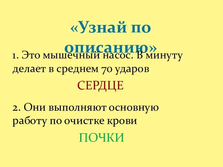 «Узнай по описанию» 1. Это мышечный насос. В минуту делает