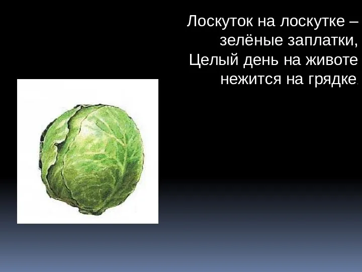 Лоскуток на лоскутке – зелёные заплатки, Целый день на животе нежится на грядке.