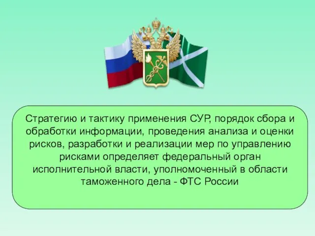 Стратегию и тактику применения СУР, порядок сбора и обработки информации,