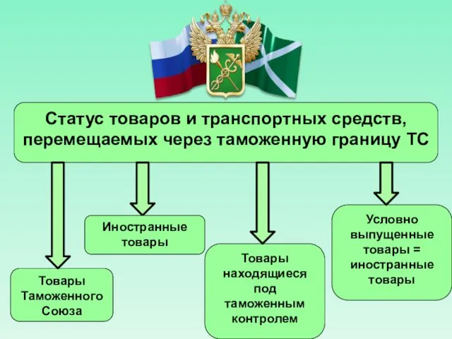 Статус товаров и транспортных средств, перемещаемых через таможенную границу ТС