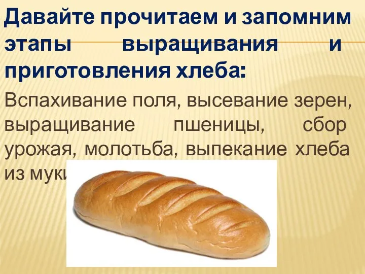 Давайте прочитаем и запомним этапы выращивания и приготовления хлеба: Вспахивание