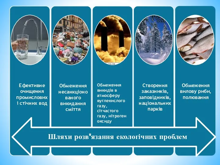 Створення заказників, заповідників, національних парків Обмеження вилову риби, полювання Ефективне