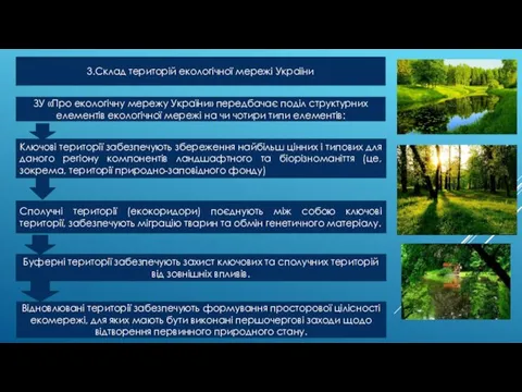 ЗУ «Про екологічну мережу України» передбачає поділ структурних елементів екологічної