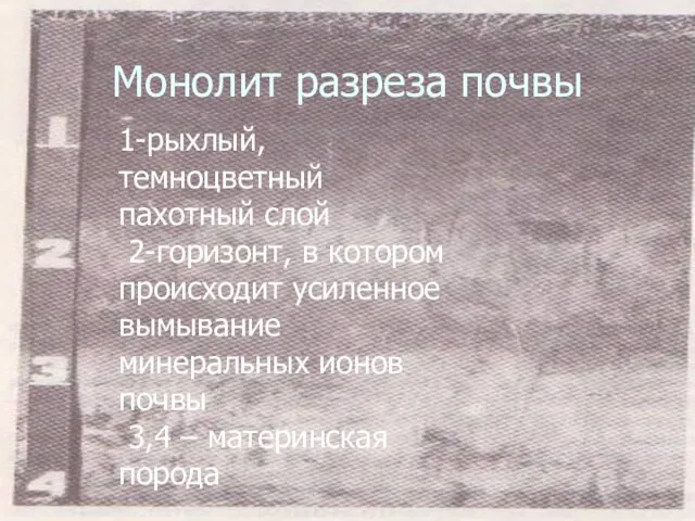 Монолит разреза почвы 1-рыхлый, темноцветный пахотный слой 2-горизонт, в котором