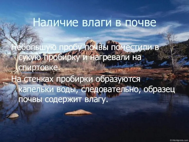 Наличие влаги в почве Небольшую пробу почвы поместили в сухую