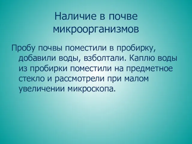 Наличие в почве микроорганизмов Пробу почвы поместили в пробирку, добавили