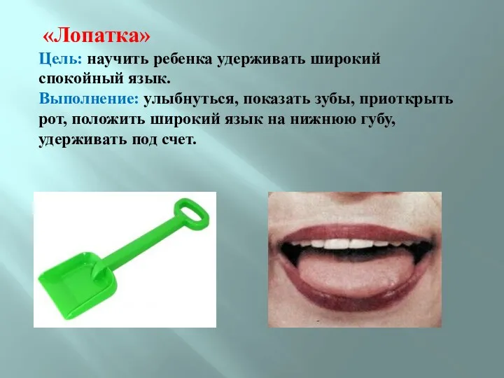 «Лопатка» Цель: научить ребенка удерживать широкий спокойный язык. Выполнение: улыбнуться,