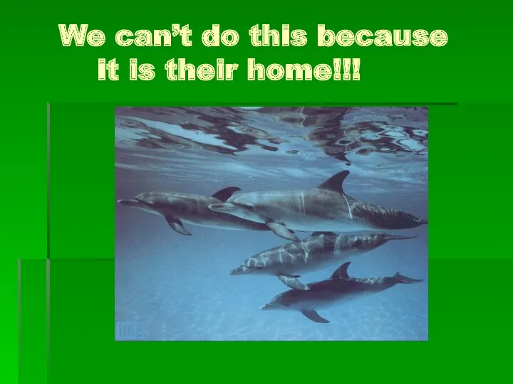 We can’t do this because it is their home!!!