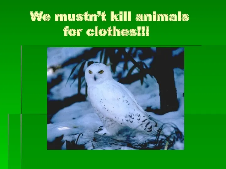 We mustn’t kill animals for clothes!!!