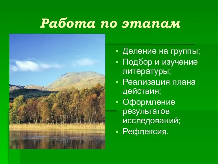 Работа по этапам Деление на группы; Подбор и изучение литературы; Реализация плана действия;