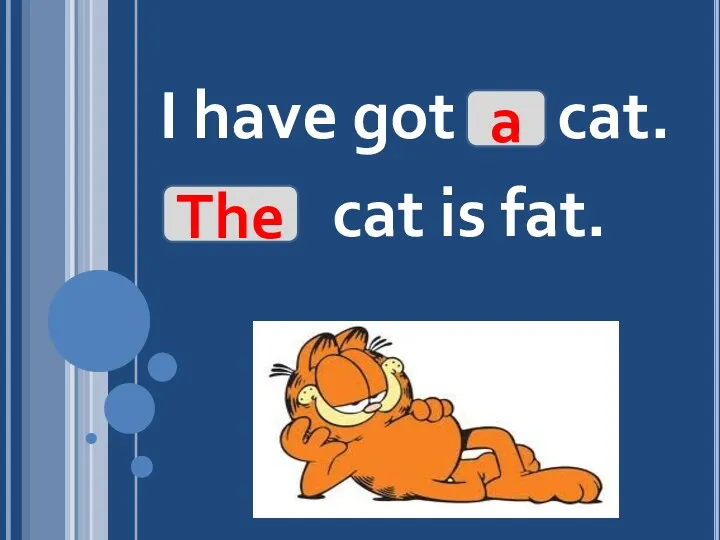 I have got cat. cat is fat. a The