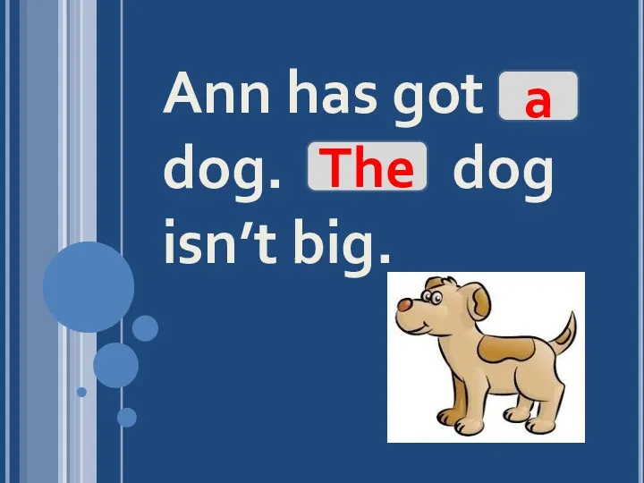 Ann has got dog. dog isn’t big. The a
