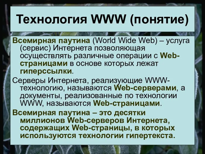 Технология WWW (понятие) Всемирная паутина (World Wide Web) – услуга