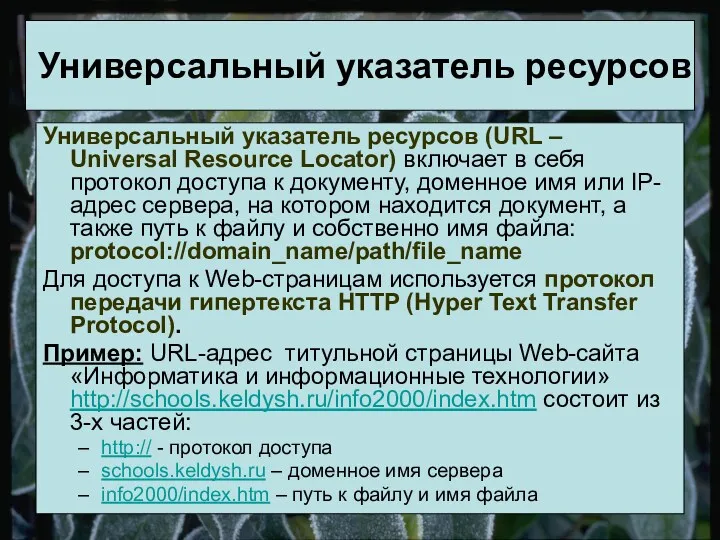 Универсальный указатель ресурсов (URL – Universal Resource Locator) включает в