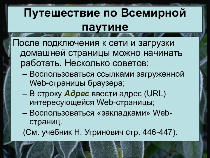 Путешествие по Всемирной паутине После подключения к сети и загрузки