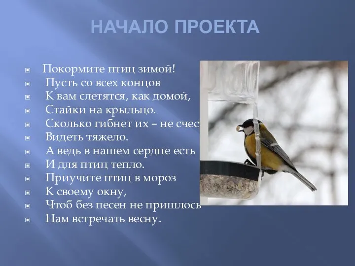 НАЧАЛО ПРОЕКТА Покормите птиц зимой! Пусть со всех концов К вам слетятся, как