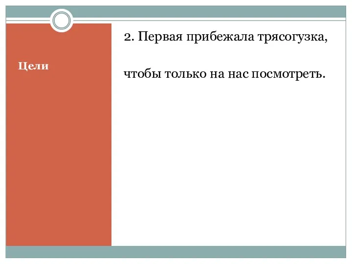 Цели 2. Первая прибежала трясогузка, чтобы только на нас посмотреть.