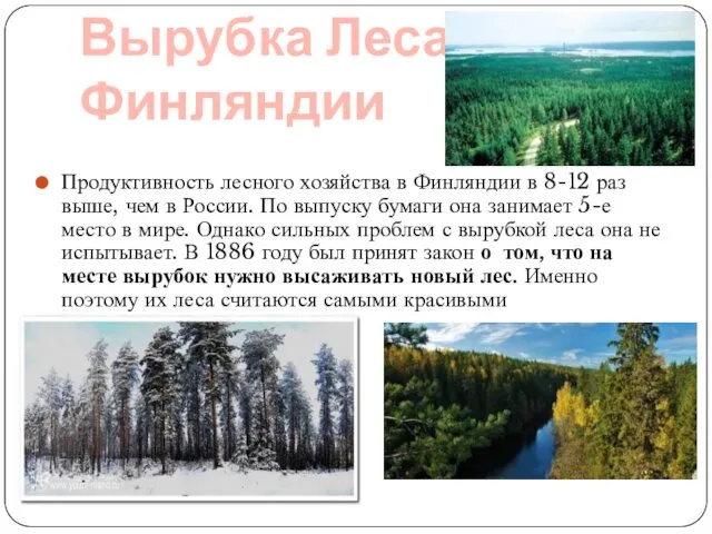 Вырубка Леса в Финляндии Продуктивность лесного хозяйства в Финляндии в