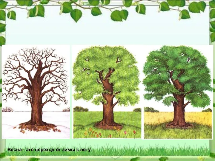 Весна - это переход от зимы к лету.