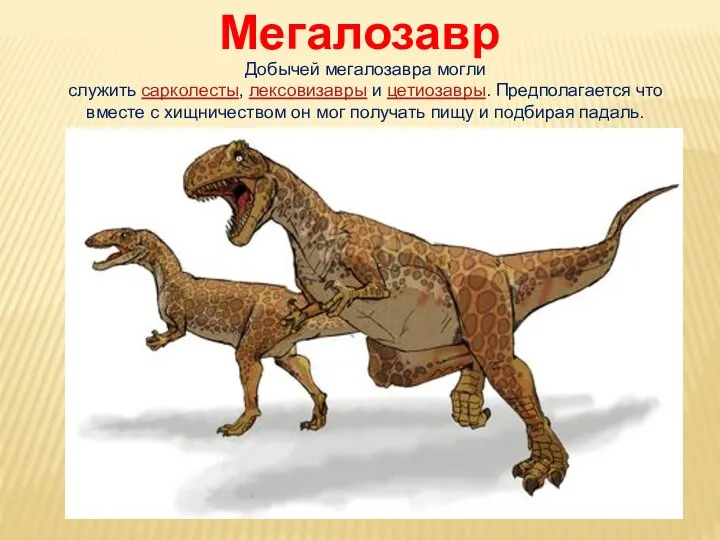 Мегалозавр Добычей мегалозавра могли служить сарколесты, лексовизавры и цетиозавры. Предполагается
