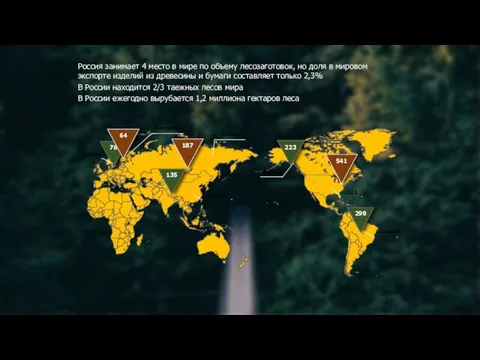Россия занимает 4 место в мире по объему лесозаготовок, но