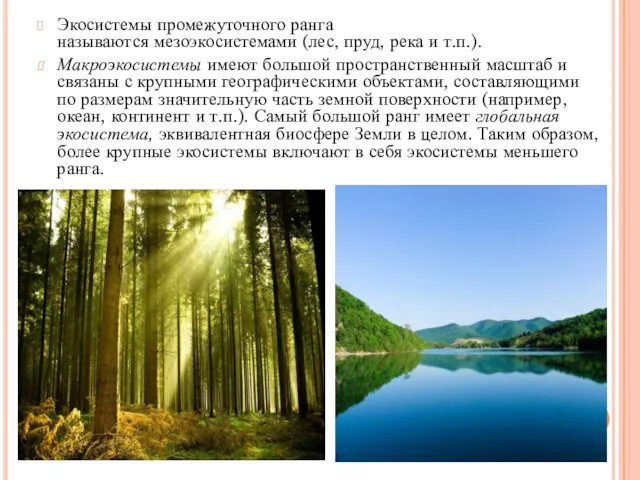 Экосистемы промежуточного ранга называются мезоэкосистемами (лес, пруд, река и т.п.). Макроэкосистемы имеют большой