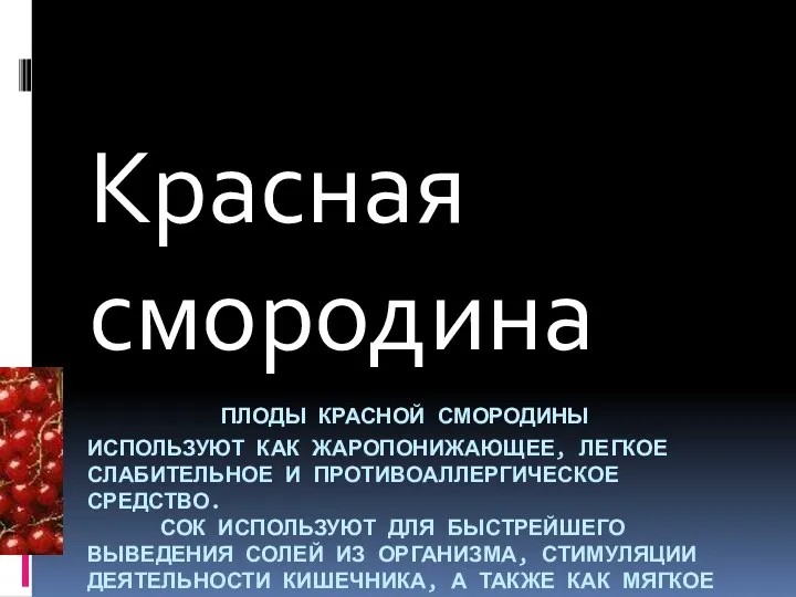 ПЛОДЫ КРАСНОЙ СМОРОДИНЫ ИСПОЛЬЗУЮТ КАК ЖАРОПОНИЖАЮЩЕЕ, ЛЕГКОЕ СЛАБИТЕЛЬНОЕ И ПРОТИВОАЛЛЕРГИЧЕСКОЕ СРЕДСТВО. СОК ИСПОЛЬЗУЮТ